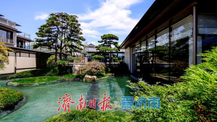 一年四季 泉在济南丨白泉湿地公园对外开放吸引众多市民关注