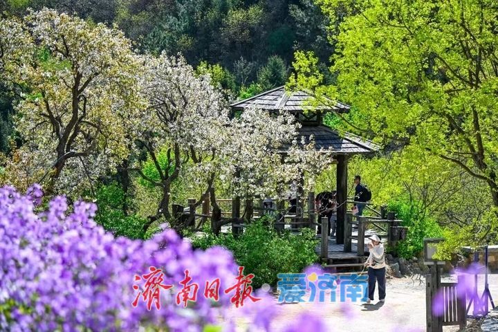 免票、优惠！济南各景区专属中、高考考生的福利来了！