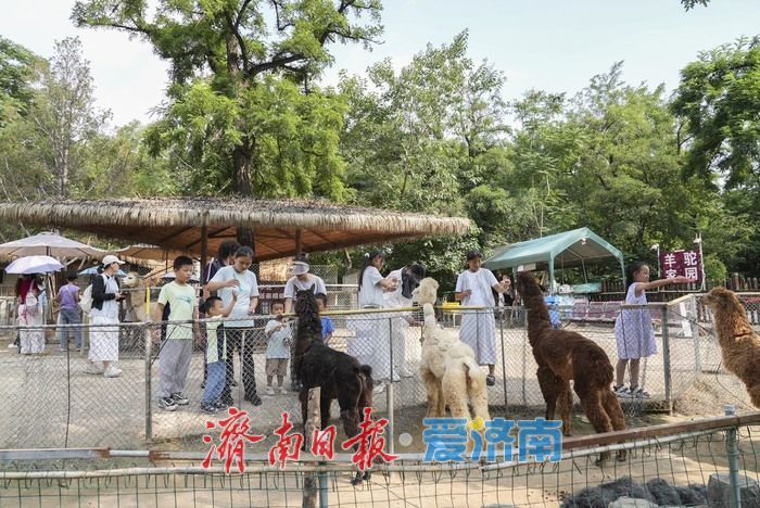 一年四季 泉在济南｜济南动物园暑期人气旺，亲子游成主流