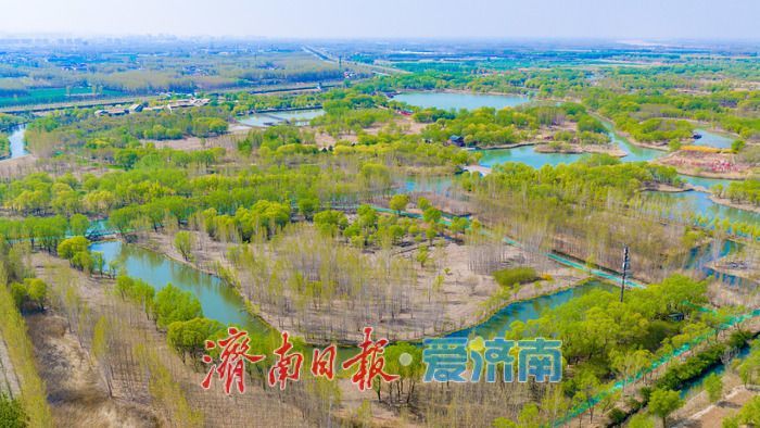 一年四季 泉在济南丨泉城晴空万里 济西湿地焕生机