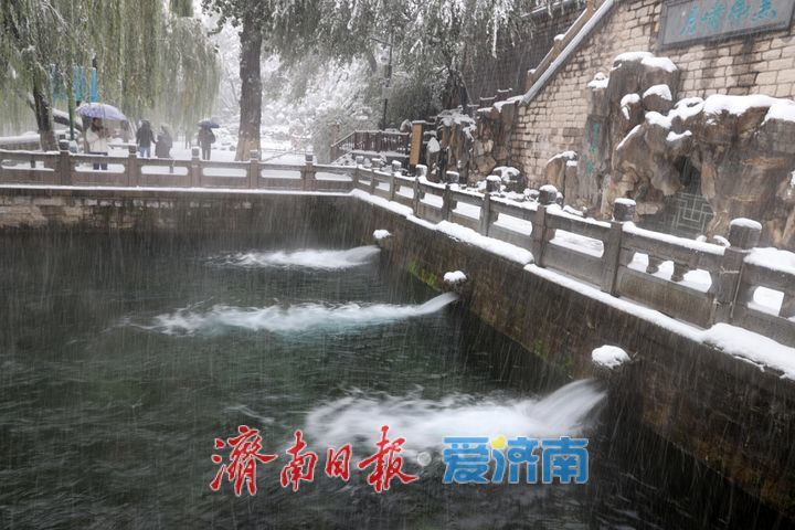 雪中黑虎泉美出诗意