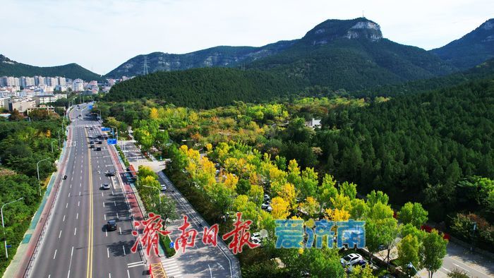 金秋染林间 佛慧山景区秋色引客来