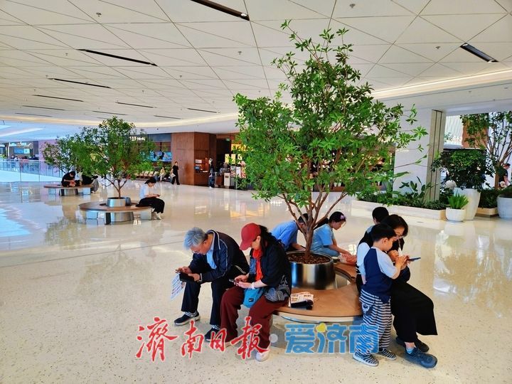绿植添韵扮靓商场 生态休闲赋能购物新体验