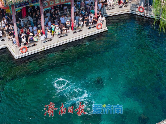 一年四季 泉在济南丨舒适度拉满！初秋趵突泉成暑期出游热门打卡地
