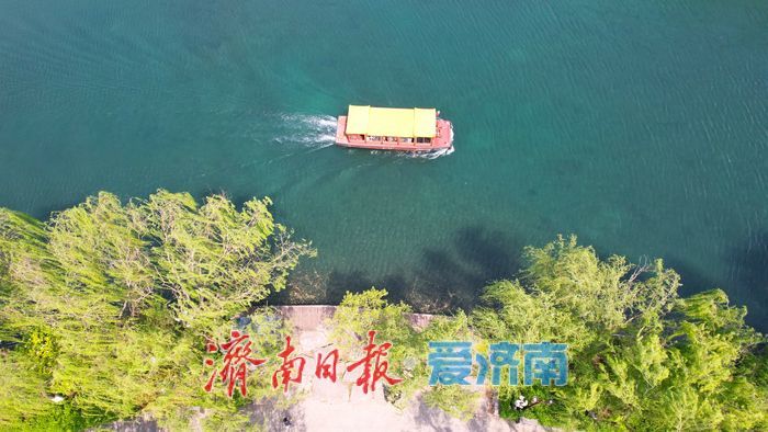 颜值拉满！春满明湖入画来