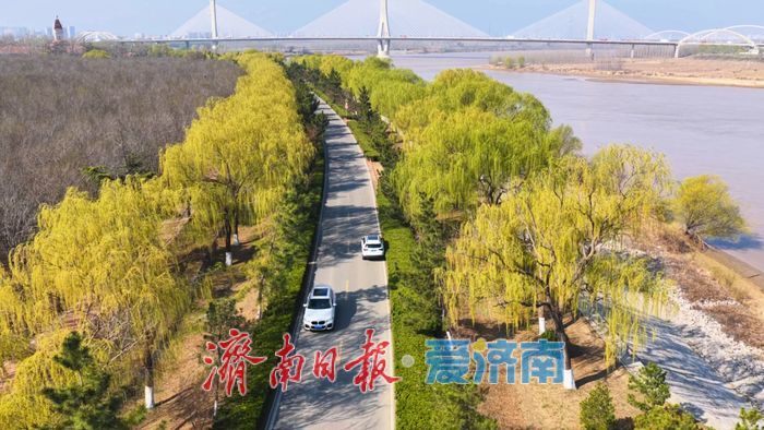 一年四季 泉在济南丨春分时节，黄河济南段尽显生态之美