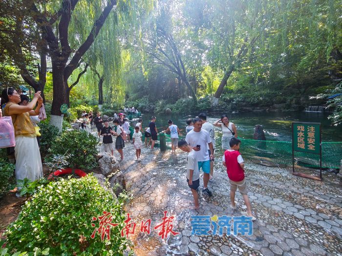 高水位赋能泉城景观 濯缨池亲水漫步成消暑热门