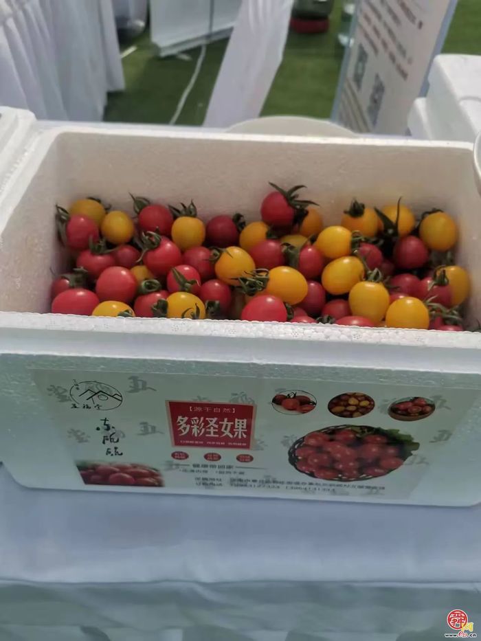 官庄街道：一名80后“兵支书”的“美丽乡愁”