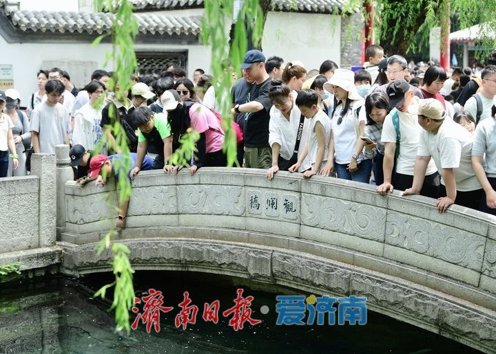 “泉”在济南，乐享“五一”