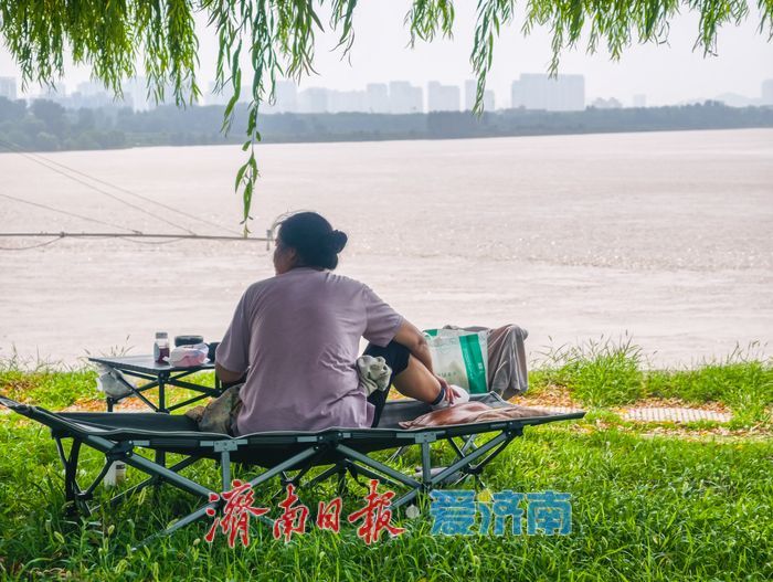 黄河生态风貌带，泉城人家的“天然凉棚”