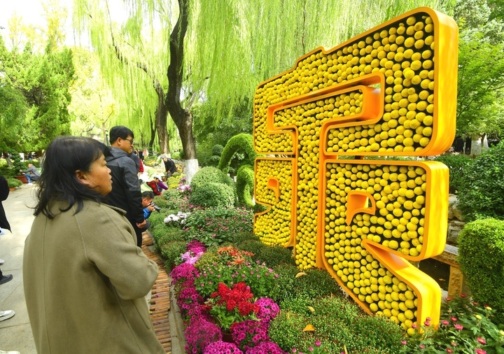 叶落秋意浓 泉畔菊飘香