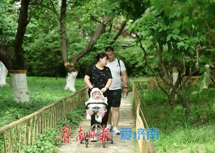 一年四季 泉在济南丨初夏凉爽天，寻幽龙潭畔