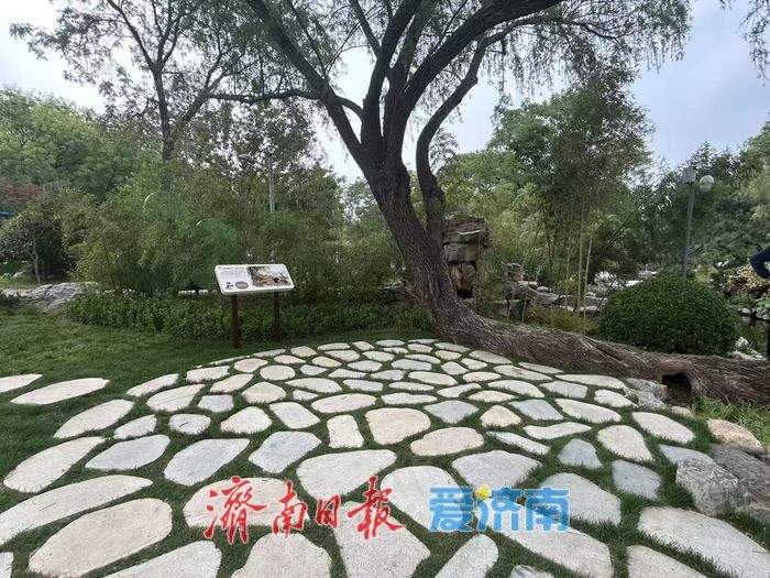 济南一城山色的“长效密码”