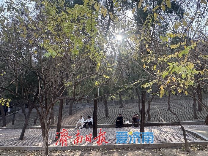 暖阳映泉城 惬意过周末