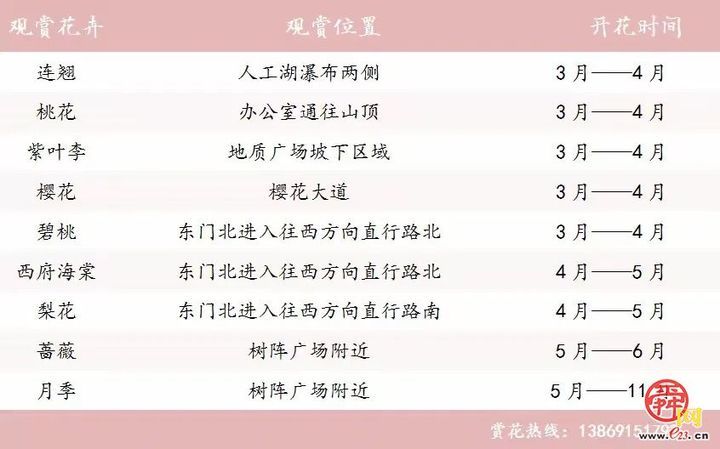 “马”上开花！章丘城区公园赏花地图出炉，开启春日好时光！