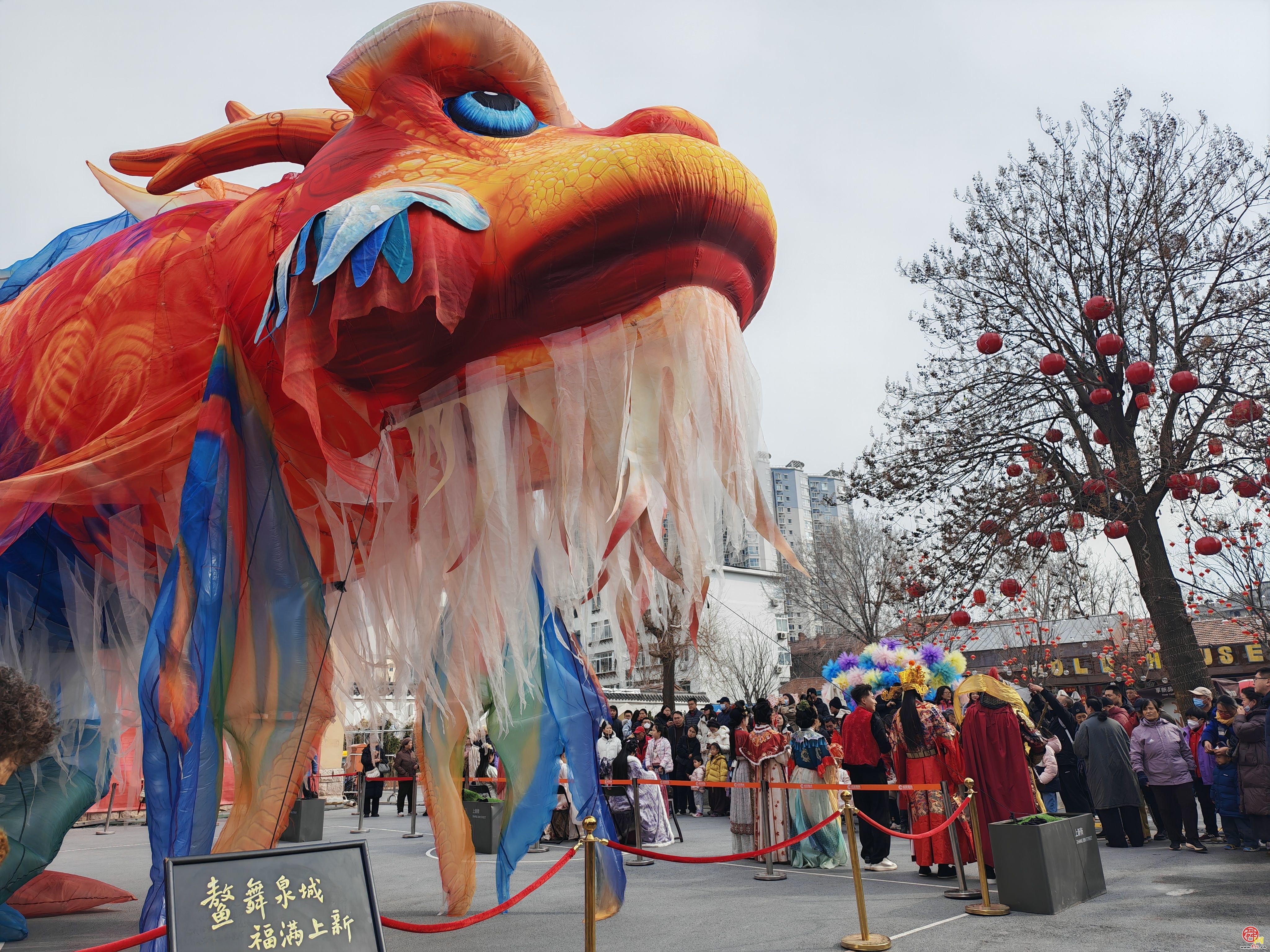 鳌舞上新街，祥瑞启新程——巨型鳌鱼惊艳亮相济南新春