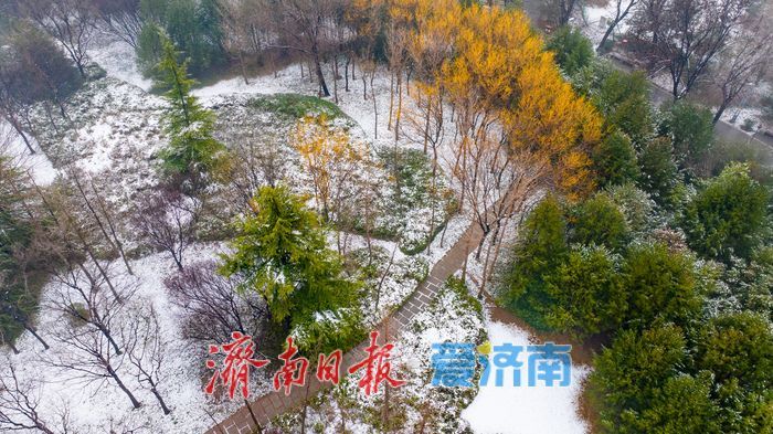 节后春雪添雅韵 济南森林公园解锁冬春交融新景致