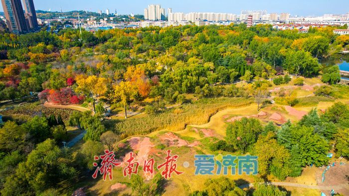 莱芜红石公园秋意浓 红石秋叶绘就多彩画卷