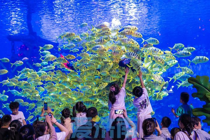 收官！国庆假期济南30家重点景区累计接待游客465.15万人次，实现营业收入1.35亿元