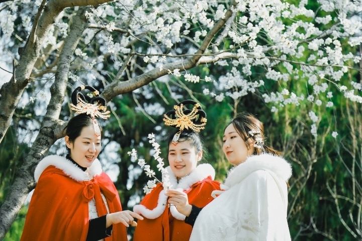 繁花盛邀，不负春光！2024济南花朝节特色活动出炉