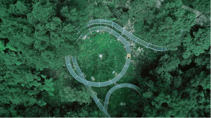 “泉”在济南 “粽”情一夏 济南发布端午假期旅游攻略