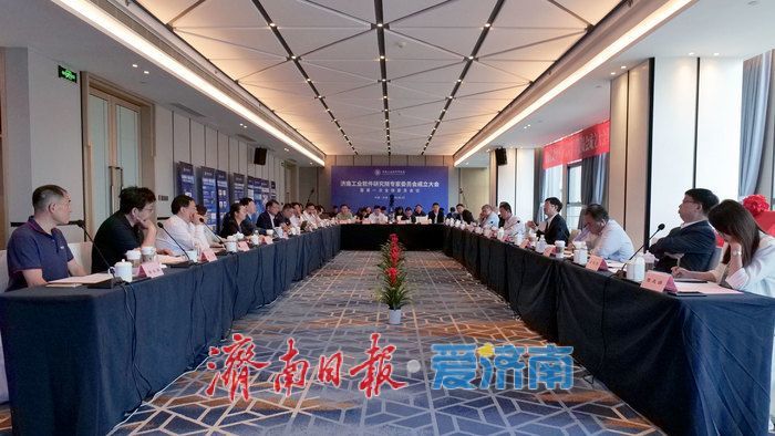 2024年济南工业软件收入达350亿元，占全国比重11.9%