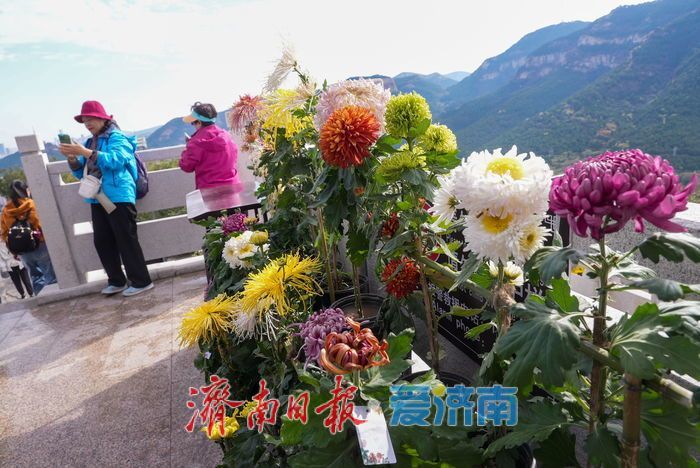 登历山极顶 览泉城新卷 千佛山城市观景平台全新亮相
