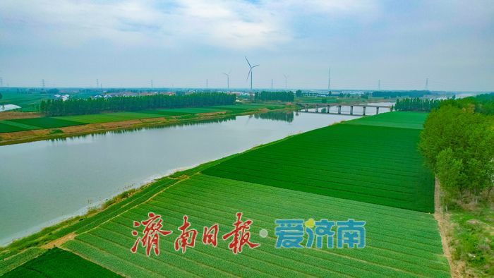 一年四季 泉在济南丨一河碧水绕良田 徒骇河畔田园美