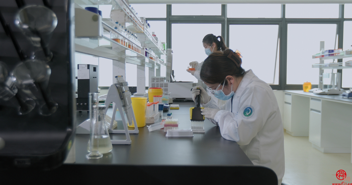 济南微生态生物医学省实验室：这里研究的是看不见却不可忽视的健康秘诀