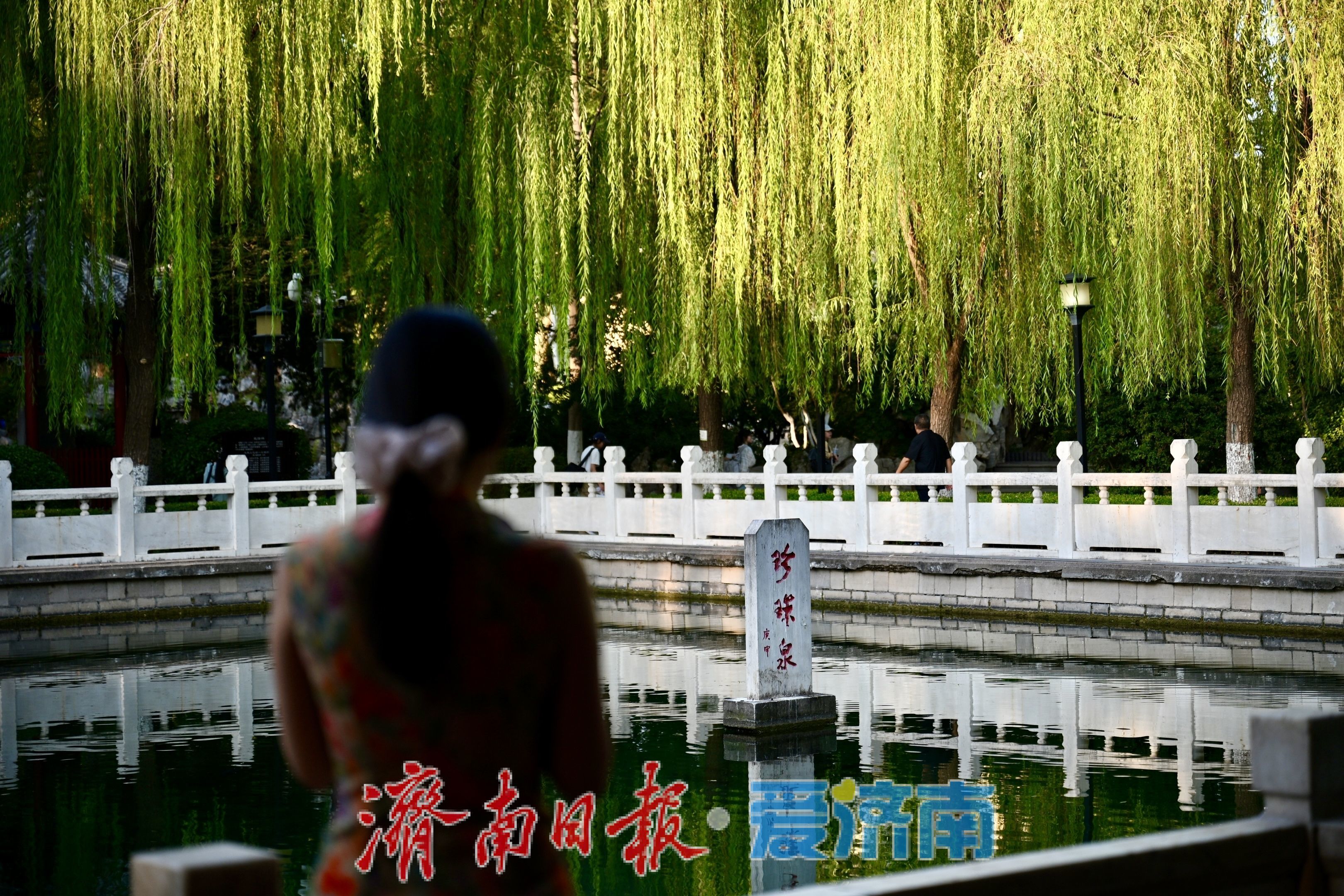 秋染珍珠泉 泉城古韵引游人沉醉