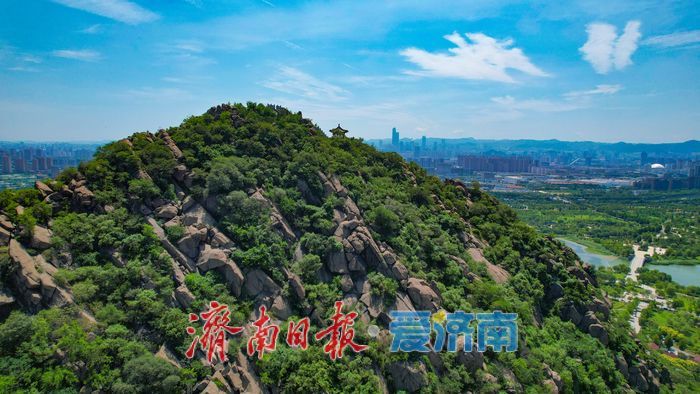 一年四季 泉在济南｜暑气未消立秋至 华山湖绿意盎然生机无限