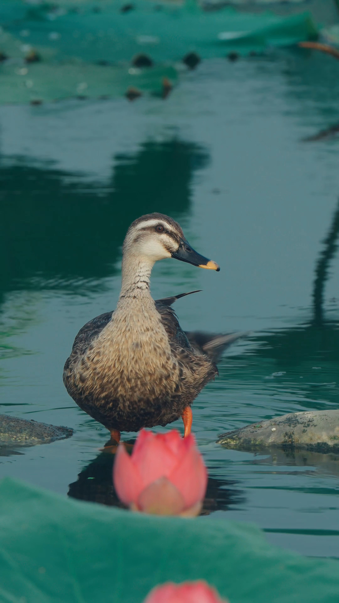 在华山邂逅现代版的“孤舟蓑笠翁”