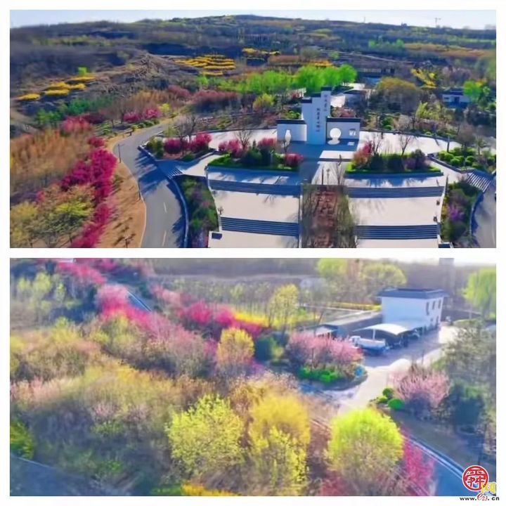 “马”上开花！章丘城区公园赏花地图出炉，开启春日好时光！