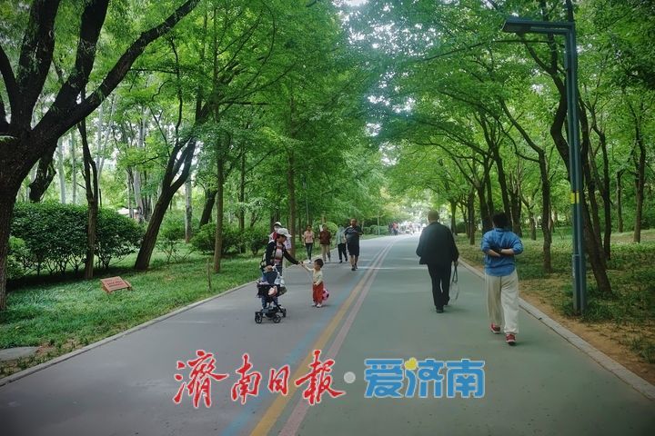 秋日打卡森林绿道，在天然氧吧里快乐健身