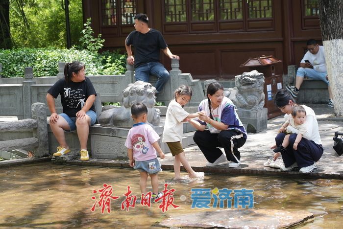 一年四季 泉在济南丨热浪来袭，泉畔尽享“透心凉”！