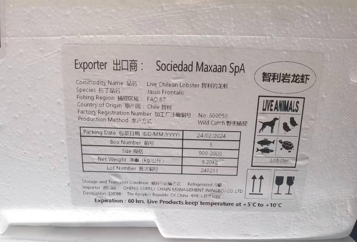 创新冷链运输新模式，山航助力“金砖航线”保畅保通