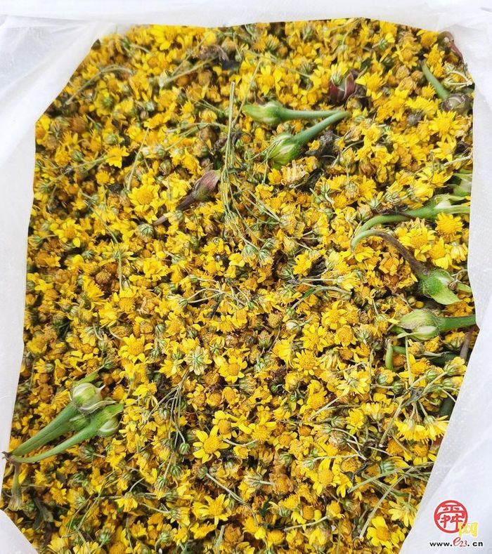 垛庄镇：秋意浓文旅热，“漫山红叶”引领赏秋新风尚