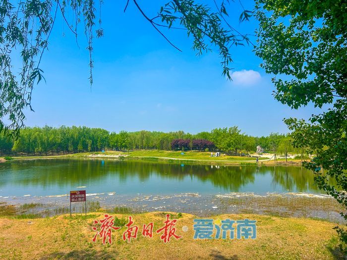 一年四季 泉在济南丨济南睦里闸春日生态画卷徐徐舒展