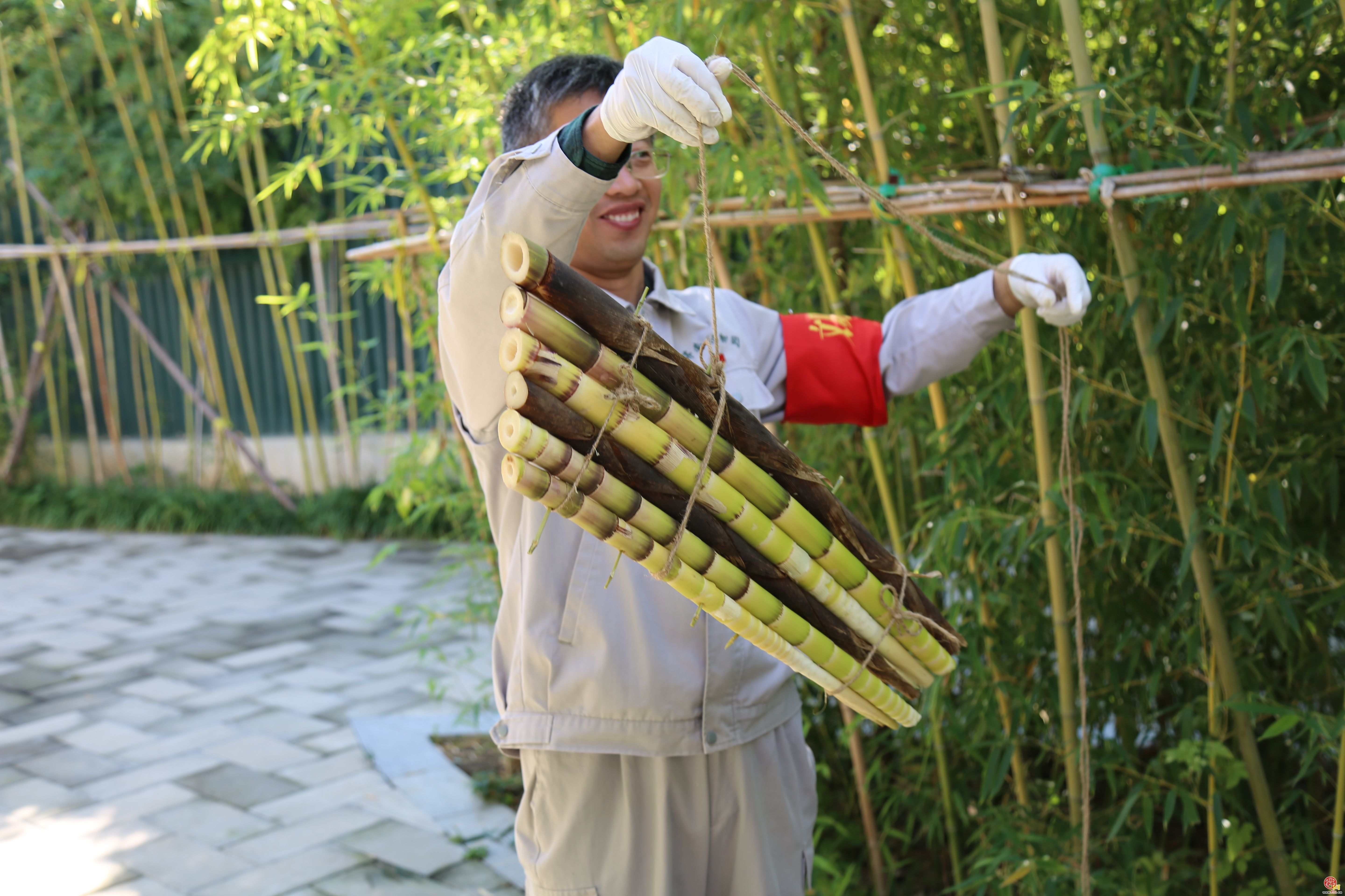 “泉”在济南享金秋 