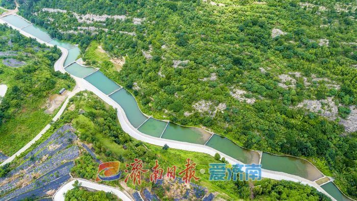 俊鸟归巢，“刚刚好”的济南欢迎你！