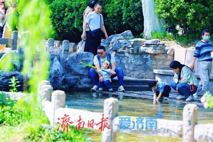 一年四季 泉在济南丨五龙潭戏水享清凉 泉畔欢歌度初夏