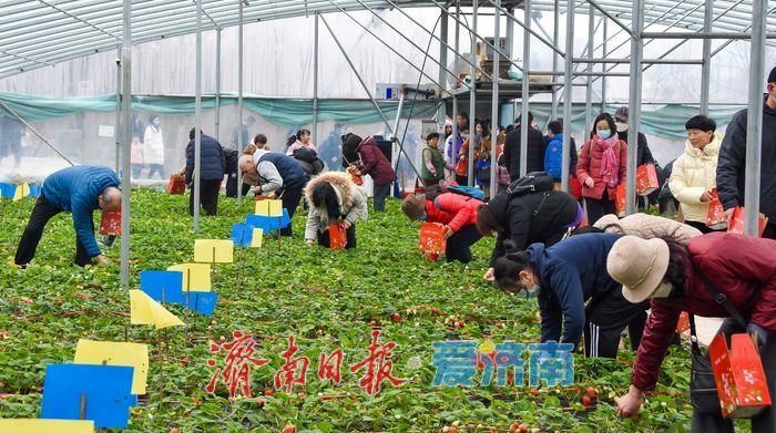 登山祈福，古寨闹春！来济南石崮寨品火头炖鸡 过地道大年