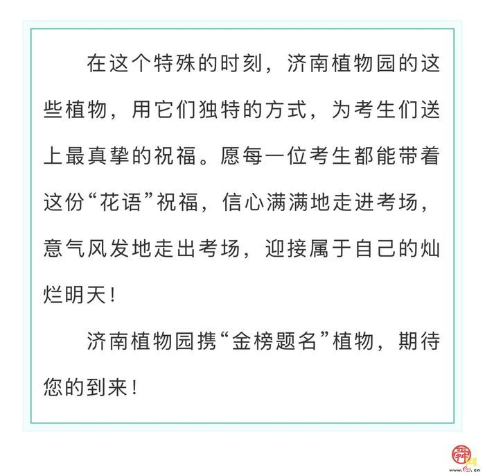 济南植物园“金榜题名”植物特辑——为中高考学子送上自然祝福！