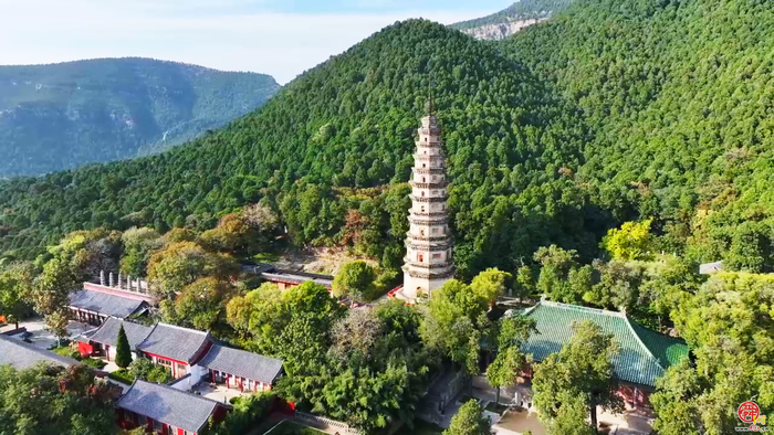 秋染灵岩寺丨古银杏已染金