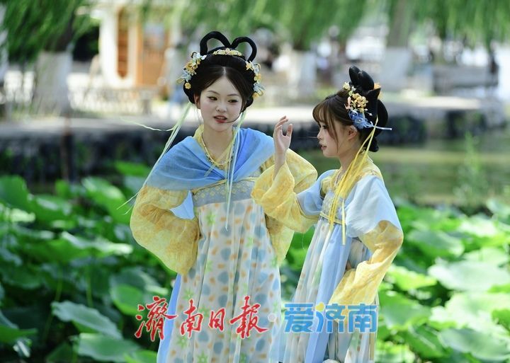 一年四季 泉在济南｜“荷”其有幸“香”约泉城，大明湖第一波荷花已绽放