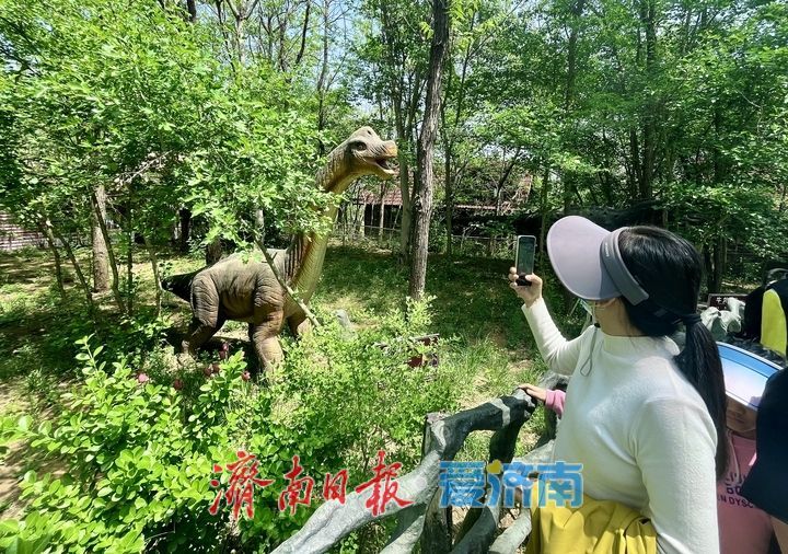 遛娃胜地！快去济南这座“侏罗纪公园”开启奇妙冒险吧