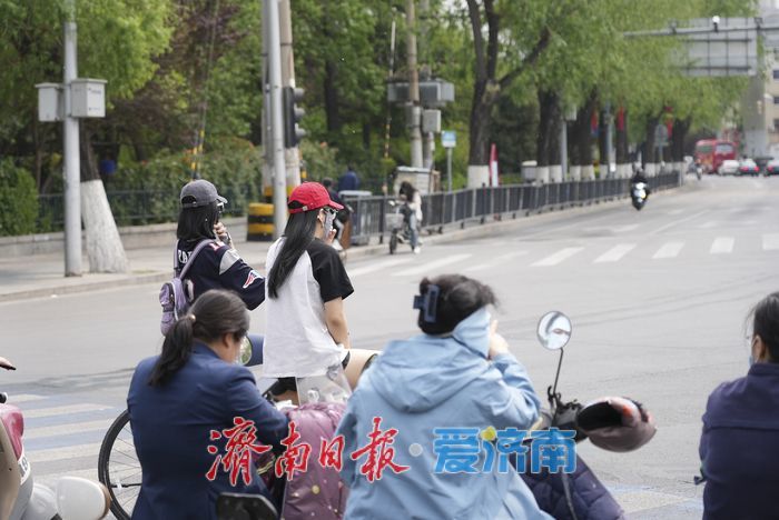 飞絮 “撒欢” 来袭，市民 “口罩” 接招