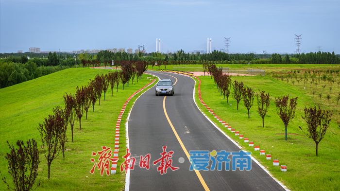 一年四季 泉在济南丨玉符河生态公路 绿意与辽阔尽收眼底