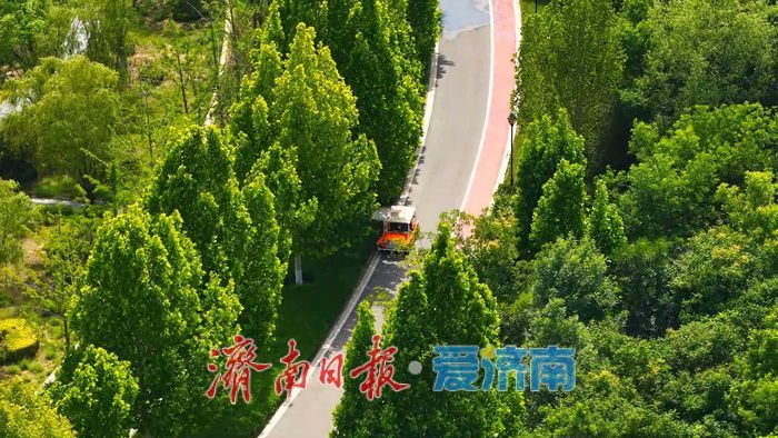 一年四季 泉在济南丨碧波映翠夏意浓！华山历史文化湿地公园“绿境”醉游人