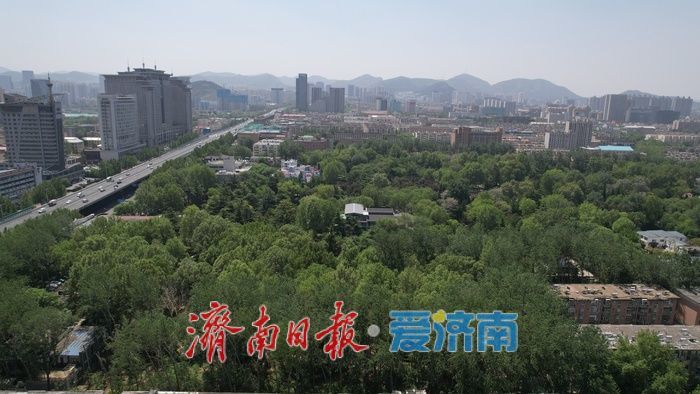 一年四季 泉在济南｜暮春时节百花公园，满目绿意处处皆景